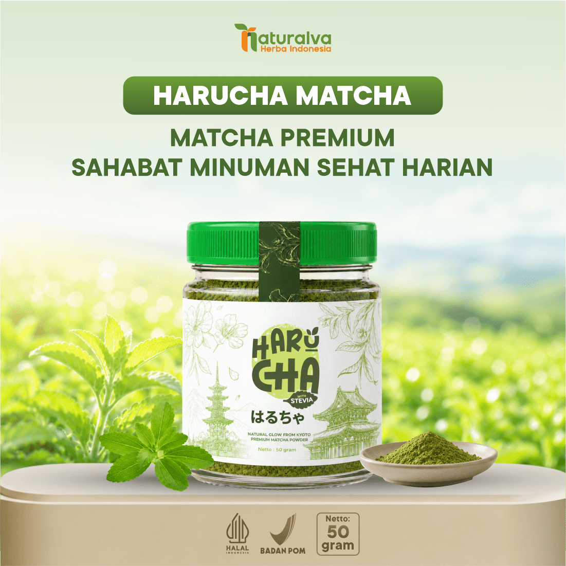 Harucha Matcha Minuman Premium dari Gula Stevia Alami 50 Gram
