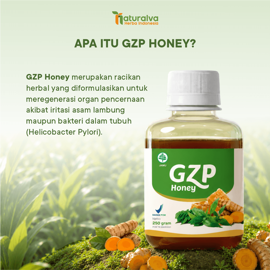 Gerd Zero Pro / GZP Honey Madu Herbal Solusi Asam Lambung Gerd Anxiety 250 Gram 2