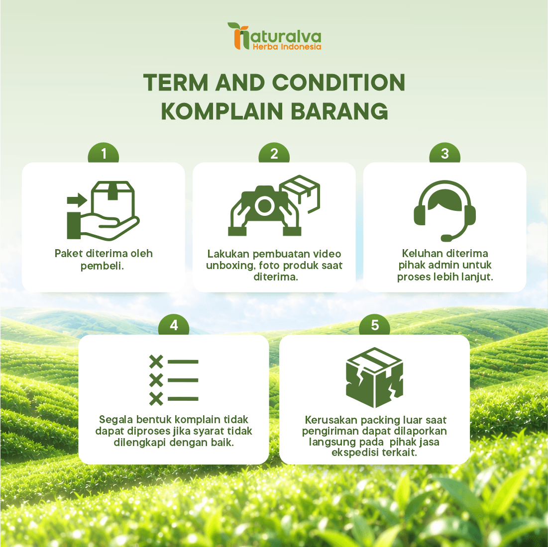 Detogreen Tea Minuman Teh Herbal Bantu Melancarkan Buang Air Besar  50 Gram 5