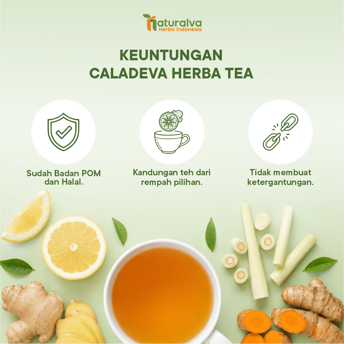 Caladeva Herba Tea Membantu Menjaga Kesehatan Tubuh Perut Kembung 5