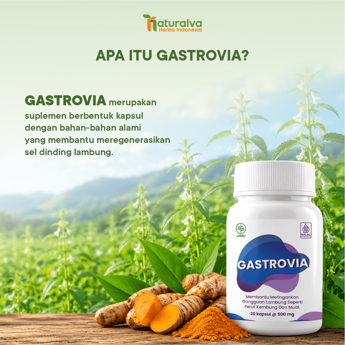 Gastrovia Suplemen Herbal Bantu Kenyamanan Lambung 2