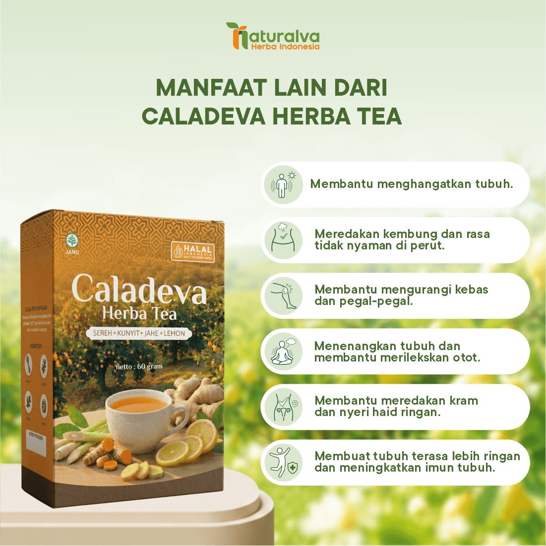 Caladeva Herba Tea Membantu Menjaga Kesehatan Tubuh Perut Kembung 4