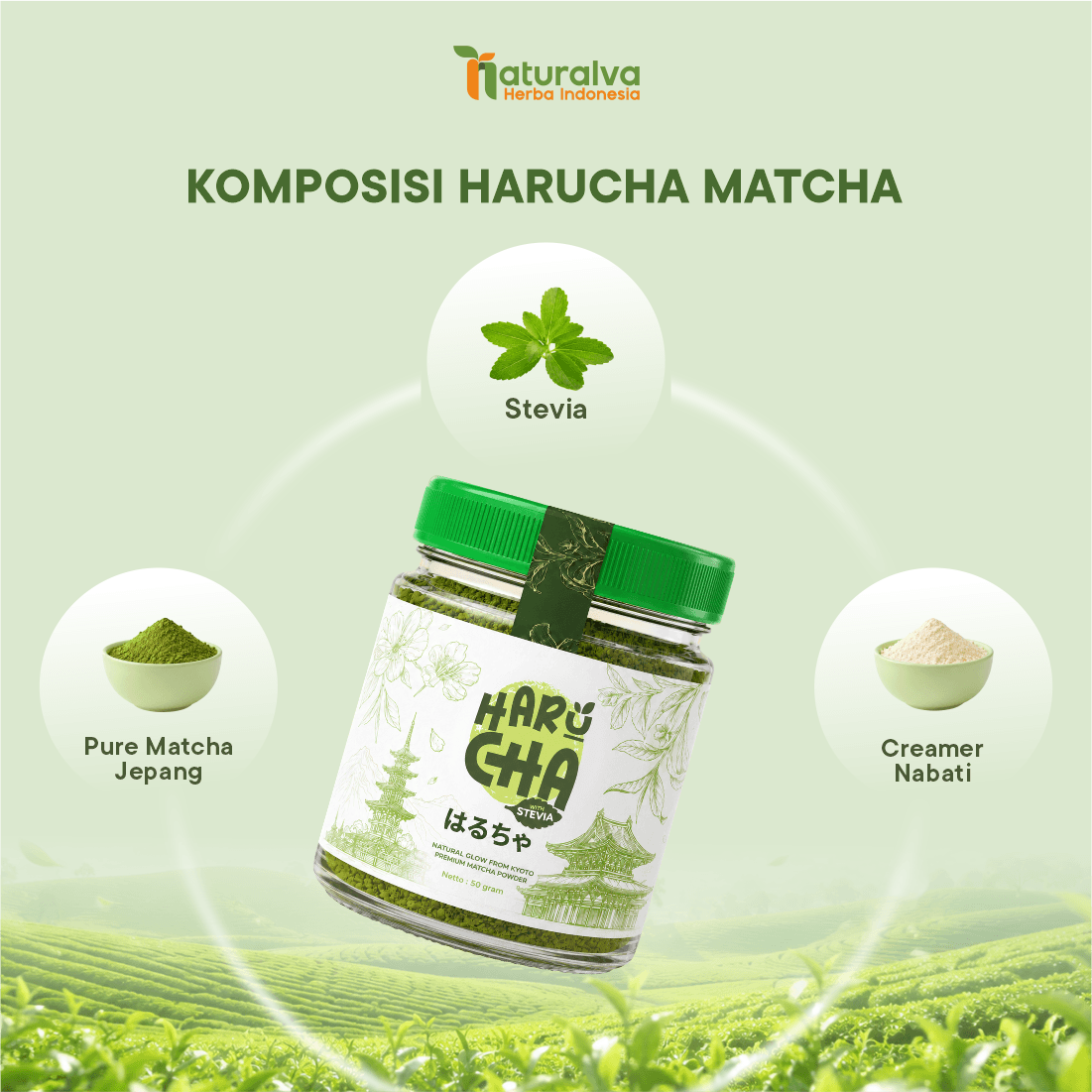 Harucha Matcha Minuman Premium dari Gula Stevia Alami 50 Gram 4