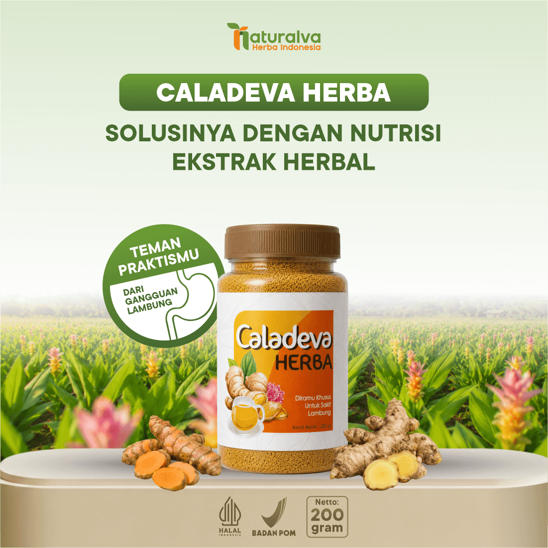 Caladeva Herba Obat Asam Lambung Maag Herbal Original 200 Gram
