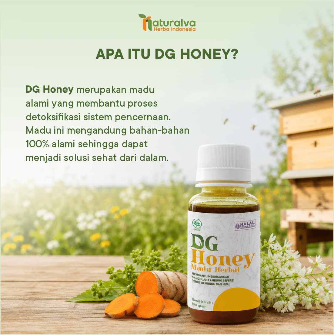 (PAKET HEMAT) 2 Detogreen Tea dan 1 Detogreen Honey Sahabat Pencernaan Lancar 4
