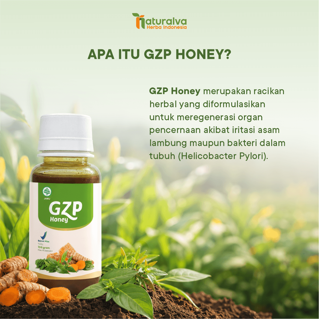 Gerd Zero Pro / GZP Honey Madu Herbal Solusi Asam Lambung Gerd Anxiety 106 Gram 2