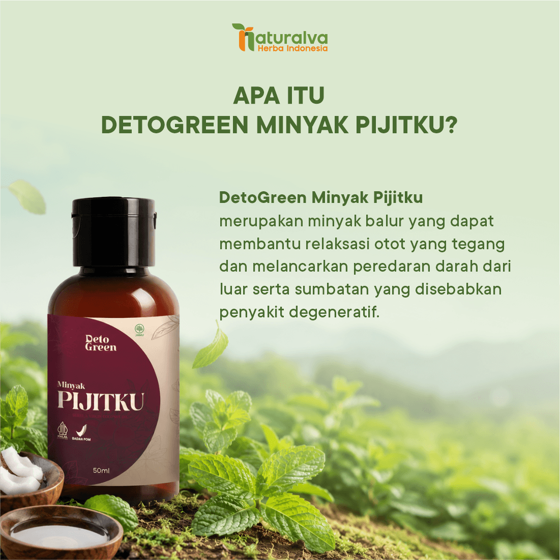 Detogreen Minyak Pijitku - Minyak Balur Solusi Relaksasi Otot 2